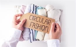 Circularity in Fashion: Drivers, Barriers, and Pathways to Sustainable Transformation